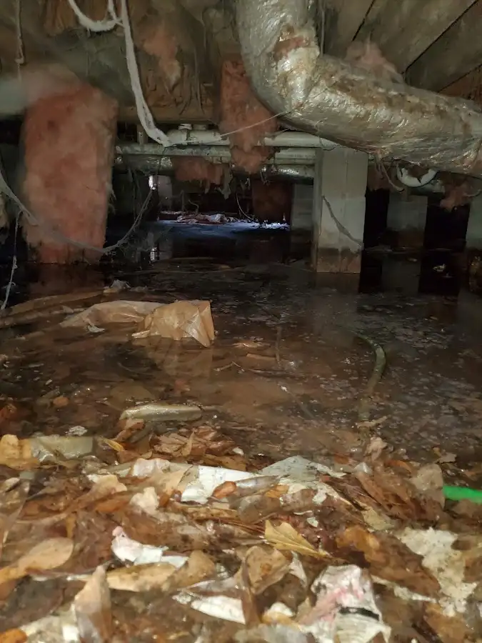 Crawl space flood assessment for Leak Detection & Repair in Waimea