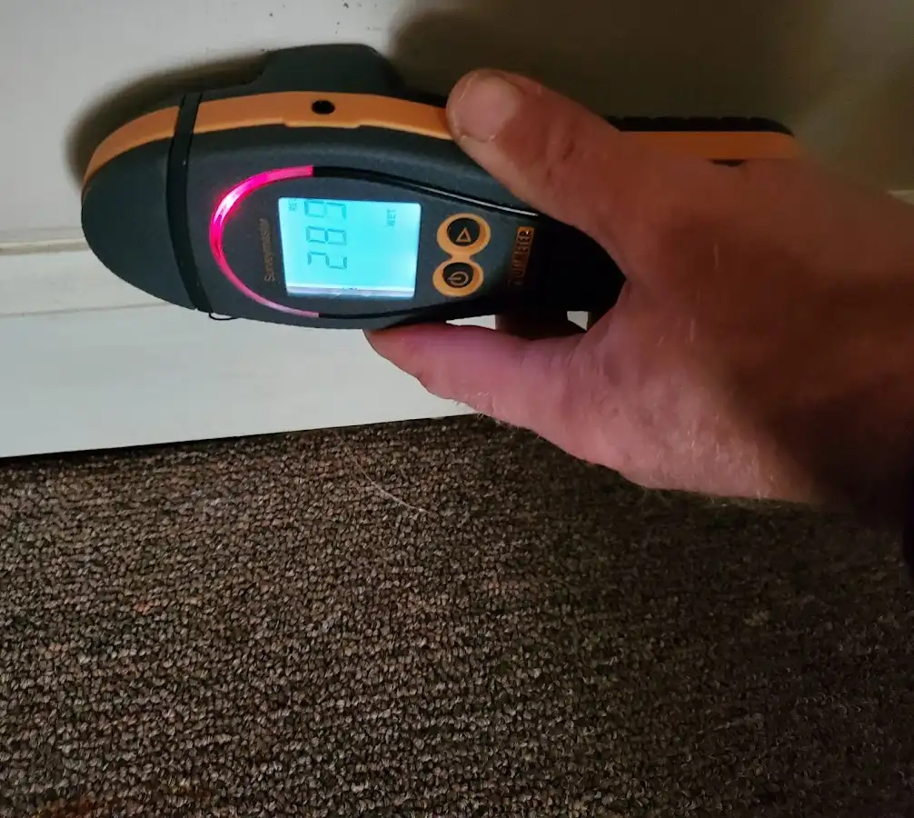 Moisture detection at baseboard during Burst Pipe Cleanup in Waimea